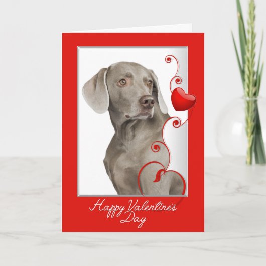 もっと愛して下さい! Weimaranerのバレンタイン シーズンカード (正面)