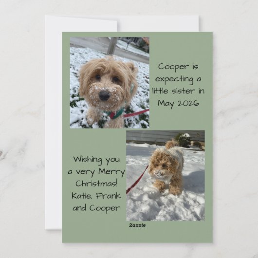 もっと楽しいクリスマス フォトカード シーズンカード (裏面)