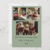 もっと楽しいホリデーカード シーズンカード (裏面)