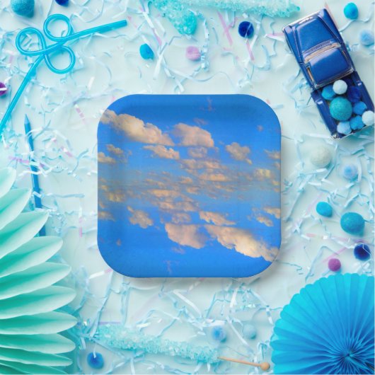 もっと言えば ペーパープレート (パーティー)