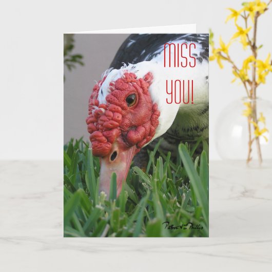 もっと近くで見たい アヒルの目をクローズアップした写真テンプレート カード (黄色い花)