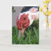 もっと近くで見たい カモの目をクローズアップした写真テンプレート カード (黄色い花)