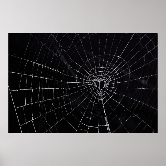 もつれたくもの巣 ポスター (正面)