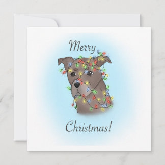 もつれた仔犬 シーズンカード