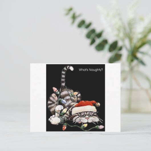 もつれた猫 ポストカード (スタンド正面)