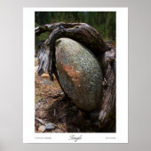 もつれプリント ポスター (正面)