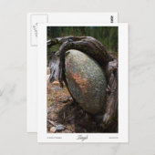 もつれプリント ポストカード (正面/裏面)