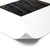 もつれ木オーストラリア色写真 ポスター (角)