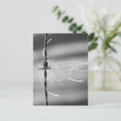 もつれ糸 – Barb Wire Still Life Photos ポストカード (スタンド正面)