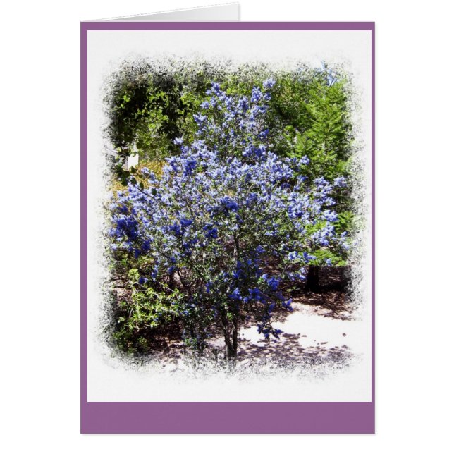 もはや単独で (正面)