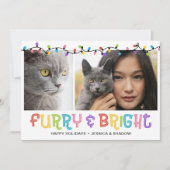 もふもふで輝く猫の写真 シーズンカード (正面)
