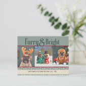 もふもふ輝く犬のクリスマスフォト ホリデーポストカード (スタンド正面)