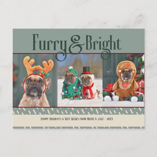 もふもふ輝く犬のクリスマスフォト ホリデーポストカード (正面)