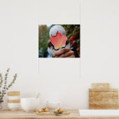 もみじのポスター ポスター (キッチン)