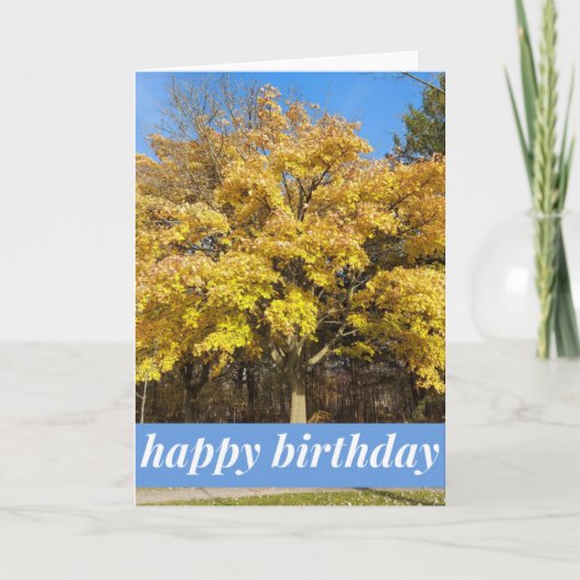 もみじの木の秋の誕生日カード カード (正面)
