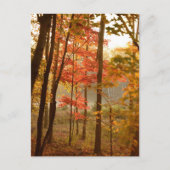 もみじの木 シーズンポストカード (正面)