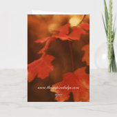 もみじの秋の感謝を伝えるグリーティングカード サンキューカード (裏面)