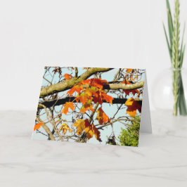 もみじの美しい秋の恵み カード