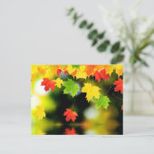 もみじの葉 ポストカード (スタンド正面)