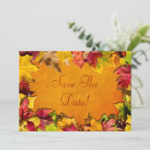 もみじ１ 招待状 (スタンド正面)