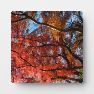もみじ フォトプラーク