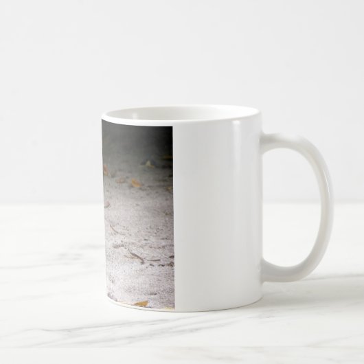 もみ革バンドを付けられた柵、Gallirallusのphilippensis コーヒーマグカップ (右)