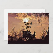もも色の水彩画の夕焼け風景の木々への感謝 ポストカード (正面/裏面)