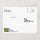 もも 花の開花 セイヨウボケ 感謝のポストカード ポストカード (裏面)