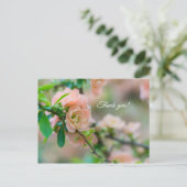 もも 花の開花 セイヨウボケ 感謝のポストカード ポストカード (スタンド正面)