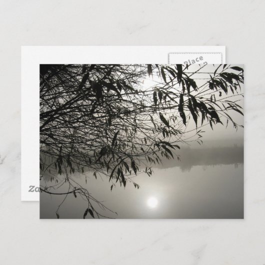 もやと影のポストカード ポストカード (正面/裏面)