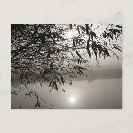 もやと影のポストカード ポストカード (正面)