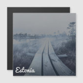 もやのかかった湿原の風景 (正面/裏面)