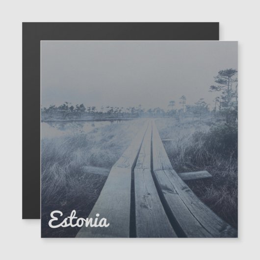 もやのかかった湿原の風景 (正面/裏面)