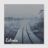 もやのかかった湿原の風景 (正面)