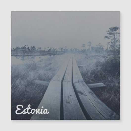 もやのかかった湿原の風景 (正面)