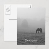 もやのかかった牧場のグレースケール写真 ポストカード (正面/裏面)