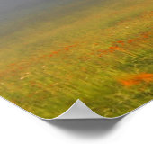 もやの中で ポスター (角)