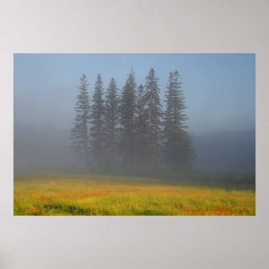 もやの中で ポスター (正面)