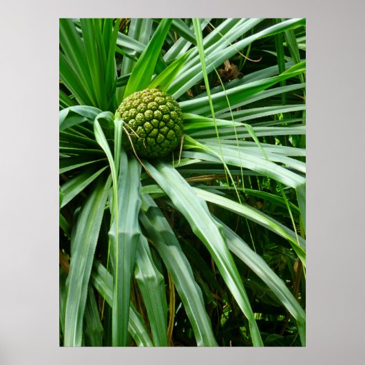 もりもりもりもりもろ ポスター (正面)