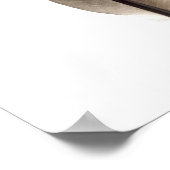 もろい白い羽毛 ポスター (角)