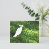 やぁ、自信家 ポストカード (スタンド正面)