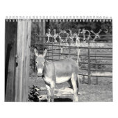 やあ カレンダー (カバー)