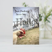 「やあ！」 チキンカード サンキューカード (スタンド正面)