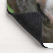 やあ! マウスパッド (コーナー)