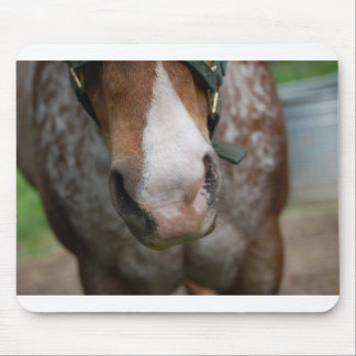 やあ! マウスパッド