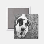 やあ！ マグネット (正面/裏面)