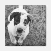 やあ！ マグネット (正面)