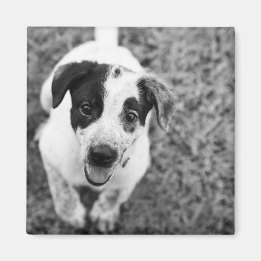 やあ！ マグネット (正面)