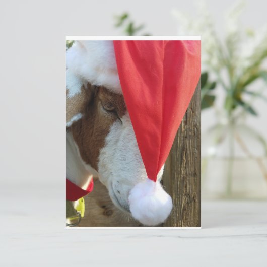 「やぎの季節を決めなさい!」 祝日の挨拶状 招待状 (スタンド正面)