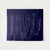 やぎ座 タペストリー (正面(横))